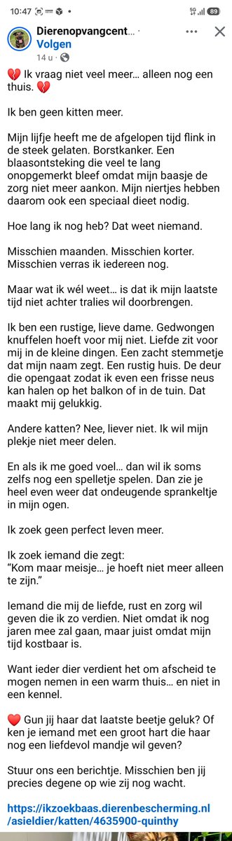 Charlie_met_i_e's tweet photo. Quinthy uit Spijkenisse zkt fijn, rustig thuisje om haar laatste levensfase te mogen doorbrengen 🤎
https://t.co/2MCbpa5AgZ https://t.co/XulGfBLkGz