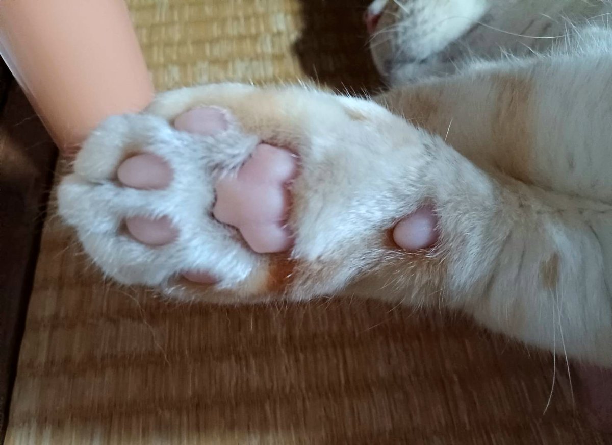 boXaHw2JYSGxmdQ's tweet photo. 握れば拳開けば掌
同じ手でも
心の持ち方　使い方によって
善にも悪にもなる
今日も暑かった💦 https://t.co/YRIcKlo0nw