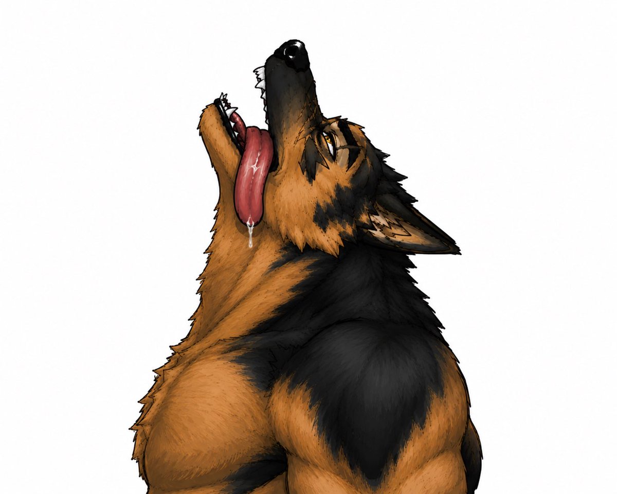 Brax_the_lion tweet picture