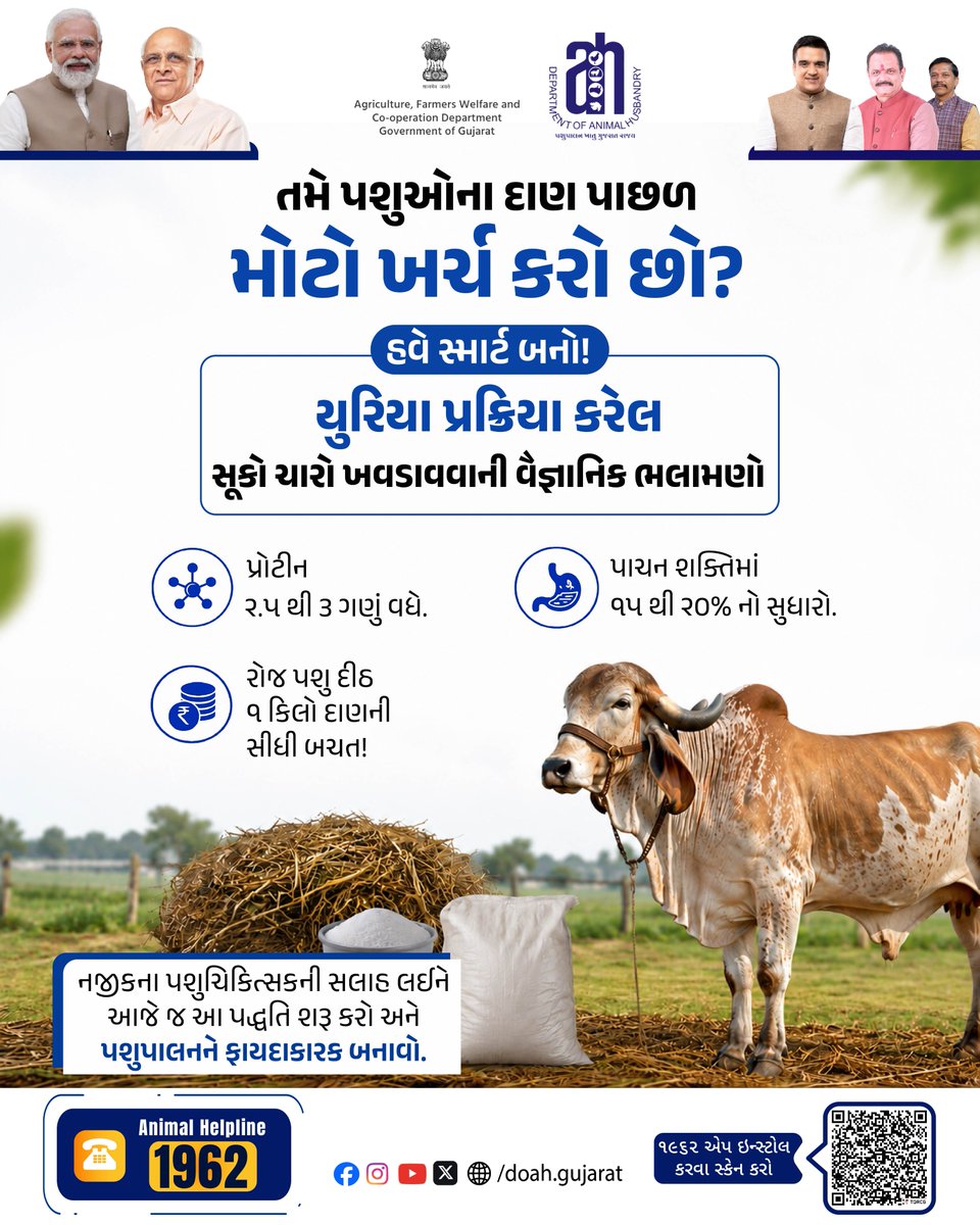 DoahGujarat's tweet photo. 🌾 ઓછા ખર્ચે વધુ પોષણ! યુરિયા પ્રક્રિયા કરેલા સૂકા ચારાથી પ્રોટીન વધે, પાચનક્ષમતા સુધરે અને પશુઓનું આરોગ્ય તેમજ ઉત્પાદન ક્ષમતા બંનેમાં વધારો થાય. 🐄💚
.
.
.
#AnimalHusbandry #LivestockManagement #UreaTreatment #DryFodder https://t.co/jKACgc6c4F