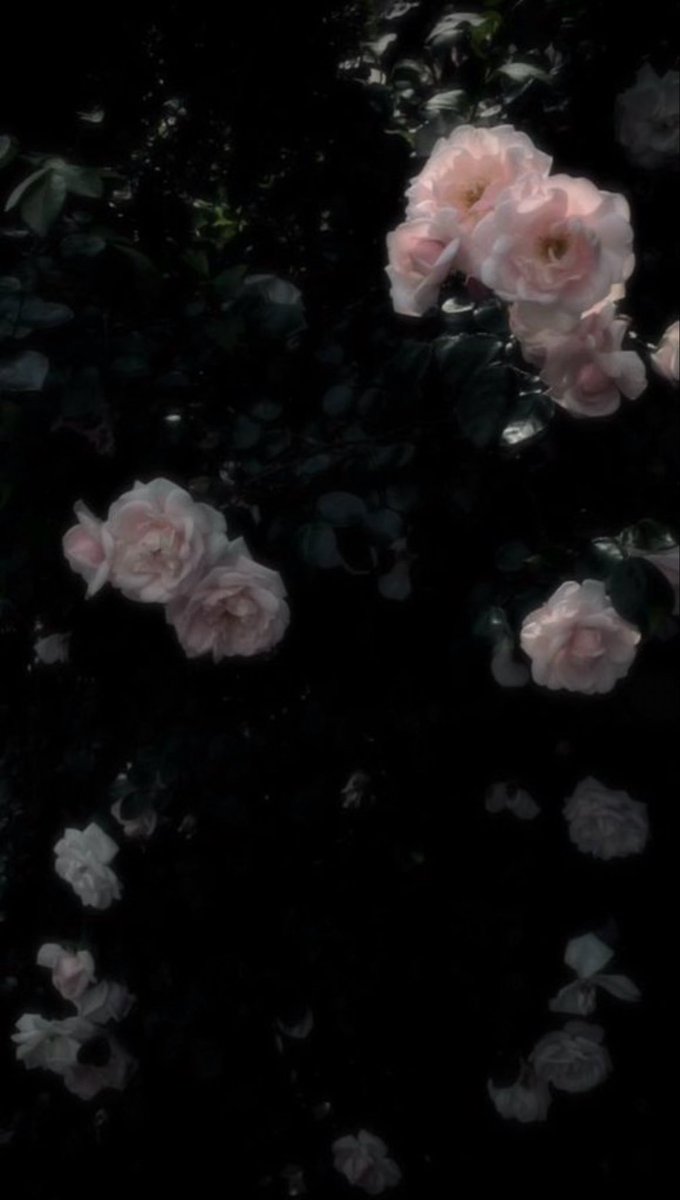 vv_needy's tweet photo. #우울계_𝕏친소 #트친소_𝕏친소 
#일상계_𝕏친소 

나랑 놀러갈사람?! https://t.co/MJY0ldSsT7