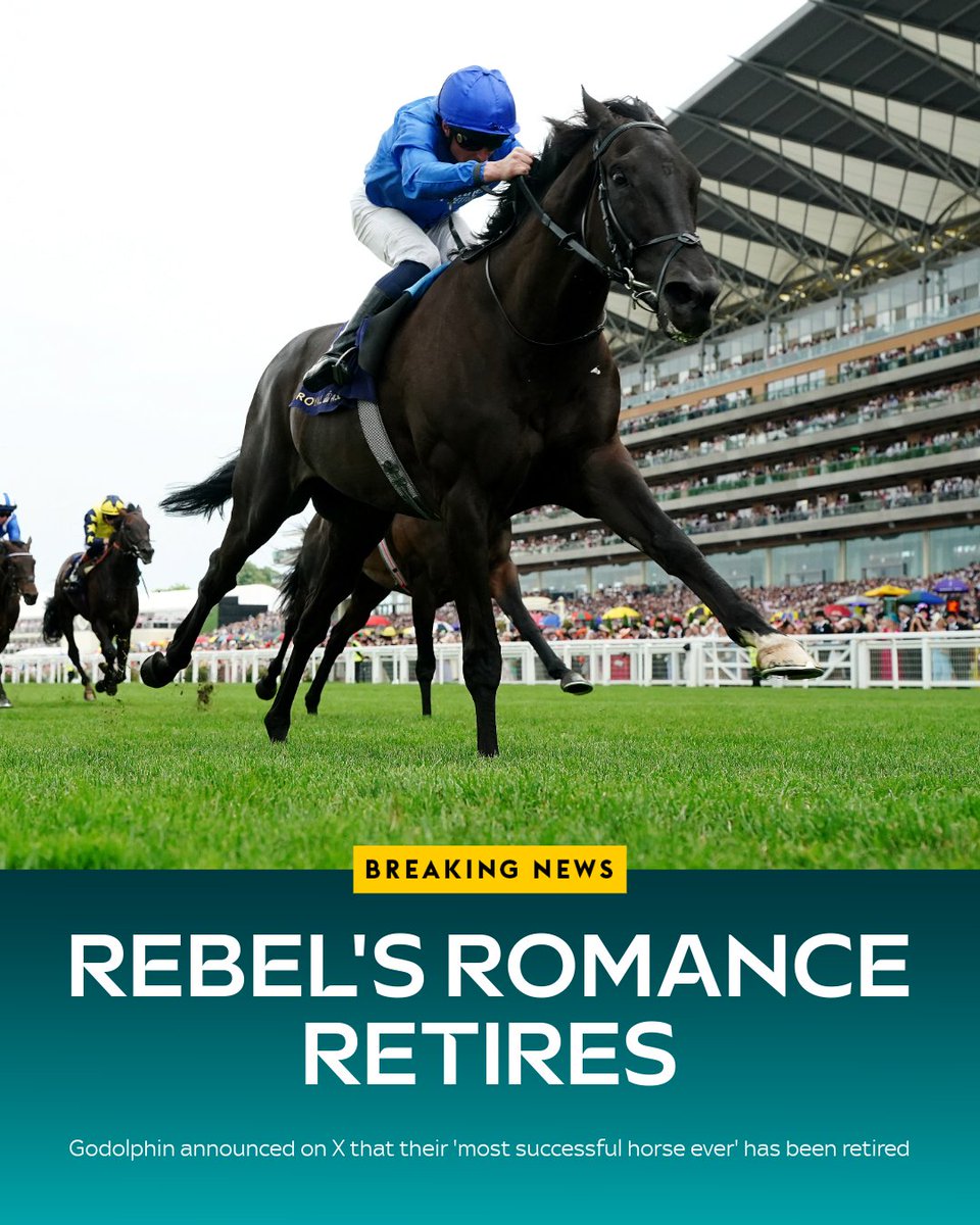 AtTheRaces's tweet photo. A legend of the game! 🤩

Wishing Rebel's Romance a very happy retirement! 💙 https://t.co/SZbQnTp2sw
