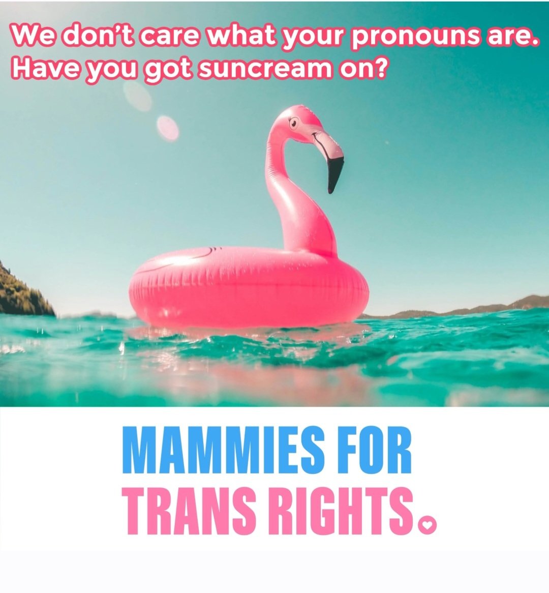 Grannies4Equality tweet media