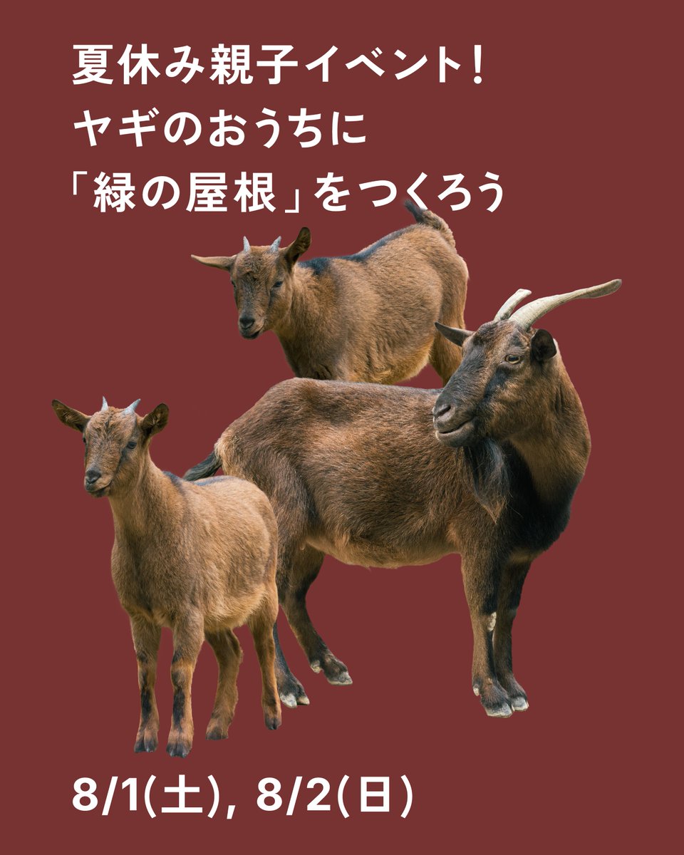satsukiyama_zoo's tweet photo. 🐐親子でヤギのおうちづくりに参加しませんか？🌿
リニューアル中の五月山動物園で、ヤギ獣舎の「緑の屋根」づくりを体験できるワークショップを開催！芝を運びながら、屋上緑化や自然について楽しく学べます✨本日から受付開始👇
https://t.co/XIee4s32wj

#SatsukiyamaDAYZOO #五月山動物園 #池田市 https://t.co/6EQAeyqjL0