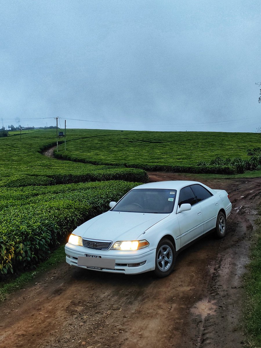 zollz's tweet photo. I miss chasing sunsets in the tea farms.

Shot on mobile. https://t.co/JcIhTgpM75