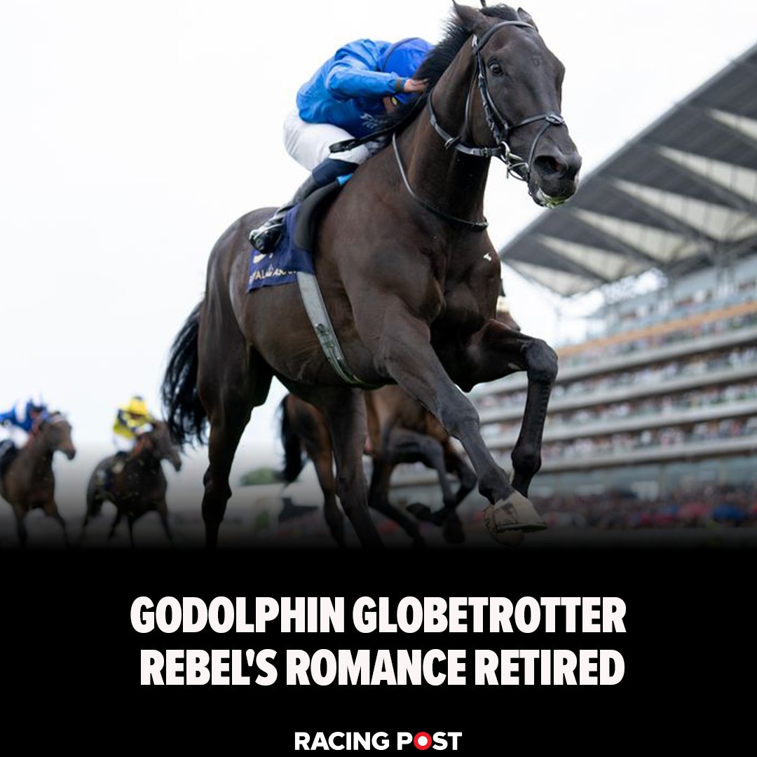 RacingPost's tweet photo. Rebel's Romance, one of Godolphin's most prolific superstars with nine top-level successes around the world, has been retired following his victory at Newmarket last week