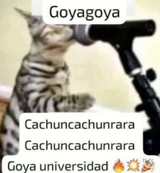 raisinha tweet media