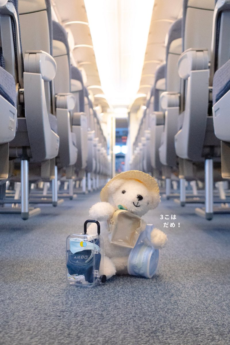 airdo_hokkaido's tweet photo. ⠀ ／
📢　機内持ち込み手荷物のご案内
 ⠀ ＼

機内にお持ち込みいただける手荷物は、身の回り品 1️⃣個、手荷物1️⃣個、【合計2個まで】です！

お客様ご自身で上の棚に収納できるサイズ・重さの手荷物をお持ち込みください！• ᴥ • https://t.co/KJivp02csB