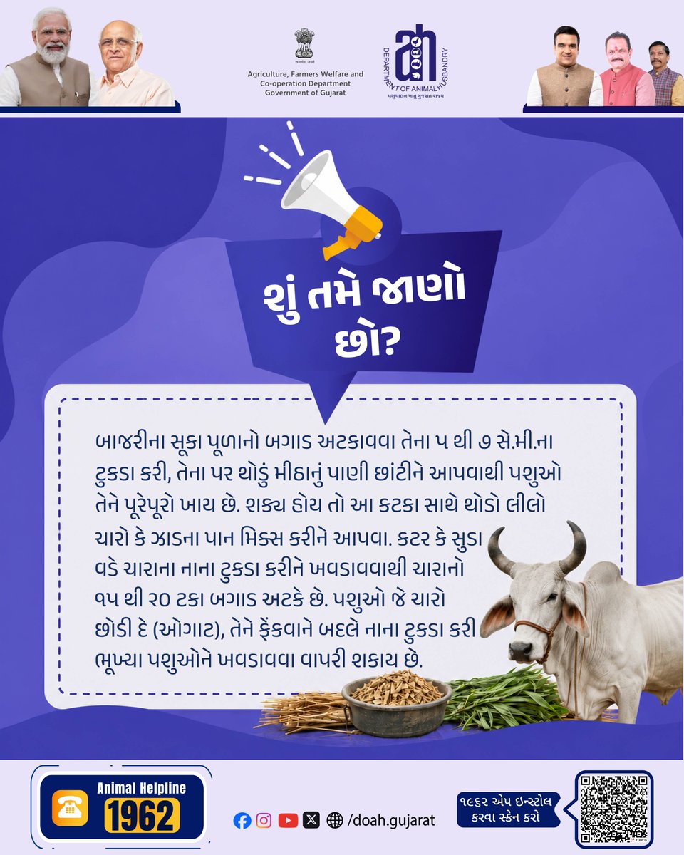 DoahGujarat's tweet photo. 🐄 યોગ્ય ચારો અને વૈજ્ઞાનિક પદ્ધતિઓ અપનાવવાથી પશુઓનું આરોગ્ય સુરક્ષિત રહે છે, ઝેરી અસરથી બચી શકાય છે અને ઉત્પાદન ક્ષમતા વધે છે. 🌾✅
.
.
.
#AnimalHusbandry #CattleCare #LivestockHealth #SafeFeeding #FodderManagement https://t.co/trAZcfd7ah