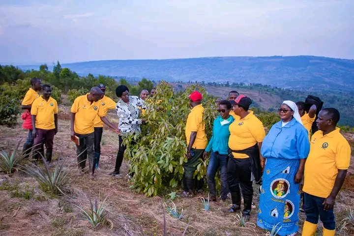 GitegaVuturaa's tweet photo. 1/3.Durant ses vacances, la Ministre @BMineagrie, Calinie Mbarushimana, poursuit ses visites auprès des agriculteurs et éleveurs professionnels. Le 15/7/2026, elle a visité ceux des collines #Bigera, #Mutaho, #Rurengera &amp; #Bitare, en commune #Bugendana.
@GeneralNeva 
@IntumwaNews https://t.co/6QAQZVeNwH