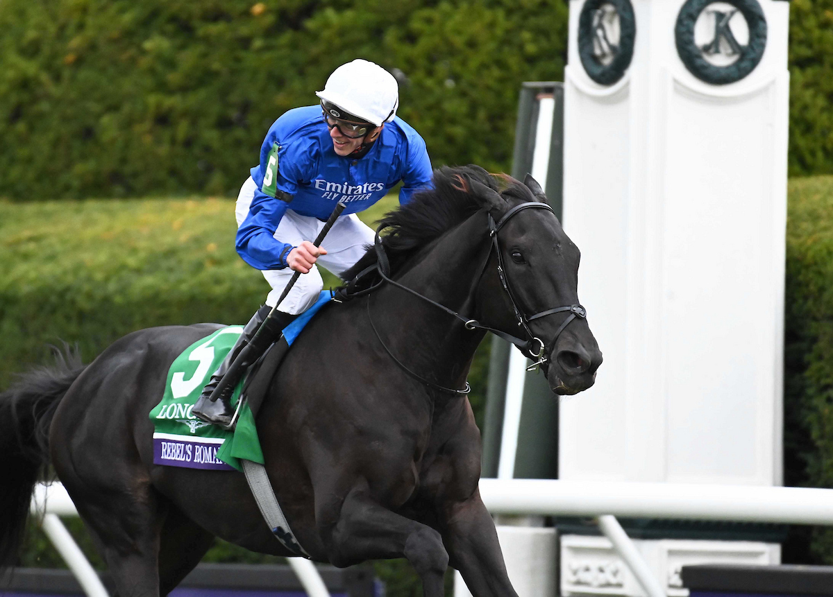 RacingTV's tweet photo. 🔵 A very happy retirement to Rebel's Romance

🏇 32 runs
🥇 22 wins
🏆 G1 Dubai Sheema Classic (2024)
🏆 G1 Hong Kong Champions & Chater Cup (2024)
🏆 Joe Hirsch Turf Classic Stakes (2025)
🏆🏆 G1 Breeders' Cup Turf (2022, 2024)
🏆🏆 G1 Preis von Europa (2022, 2024)
🏆🏆 G1 Grosser Preis von Berlin (2022, 2025)
💷 £12,212,756 in prize money