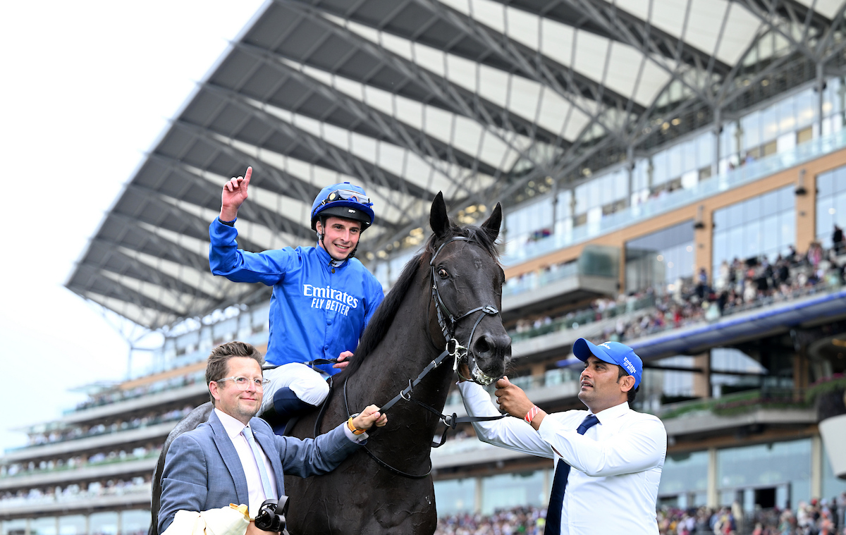 RacingTV's tweet photo. 🔵 A very happy retirement to Rebel's Romance

🏇 32 runs
🥇 22 wins
🏆 G1 Dubai Sheema Classic (2024)
🏆 G1 Hong Kong Champions & Chater Cup (2024)
🏆 Joe Hirsch Turf Classic Stakes (2025)
🏆🏆 G1 Breeders' Cup Turf (2022, 2024)
🏆🏆 G1 Preis von Europa (2022, 2024)
🏆🏆 G1 Grosser Preis von Berlin (2022, 2025)
💷 £12,212,756 in prize money