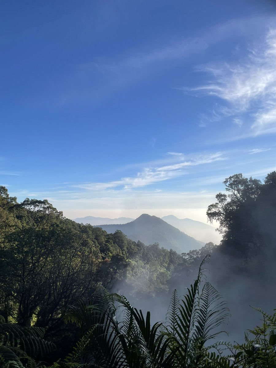fullsunec's tweet photo. gn gede via cibodas ⛰️🍃 https://t.co/uw97XLp0RQ