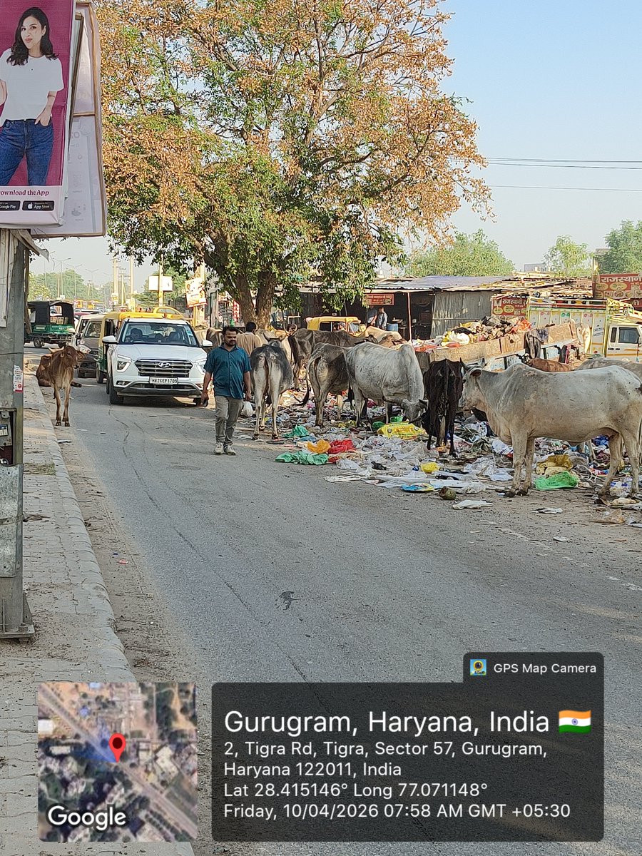 khushisinghal's tweet photo. Req @MunCorpGurugram @pratham_vasisht @RaoNarbir @DC_Gurugram to kindly provide a sol for this GVP as well. While complaints r being made for past 2yrs, no permanent sol has yet been developed.
@CPCB_OFFICIAL 
@CAQM_Official 
@MoHUA_India 
@cmohry @PMOIndia @DC_Gurugram 
#tigra https://t.co/171Ra01pSm