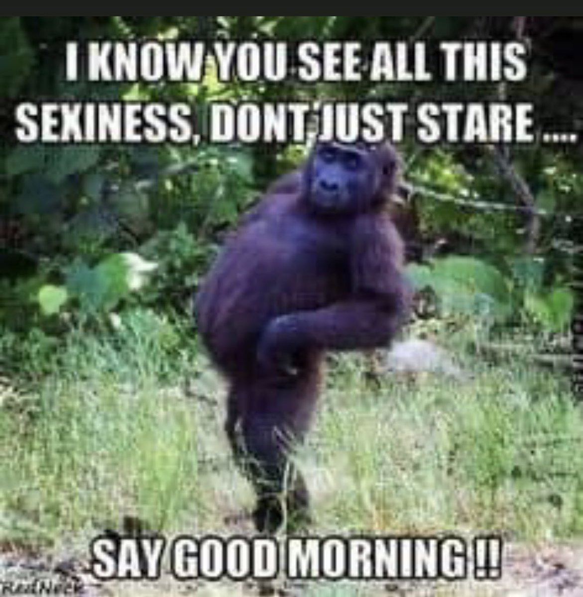 TimClick's tweet photo. Hahah!! Morning! https://t.co/ZPXt2rn30N