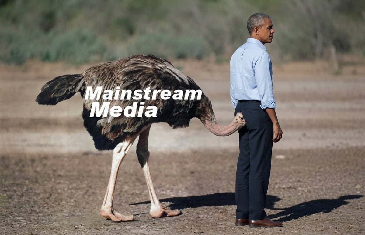 Mike Clancey tweet media
