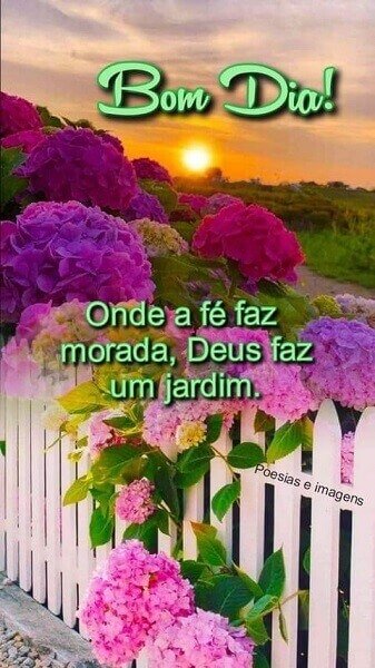 Edson57227839's tweet photo. @1910danii_ Energias positivas...sempre https://t.co/o4ROuOW6ek