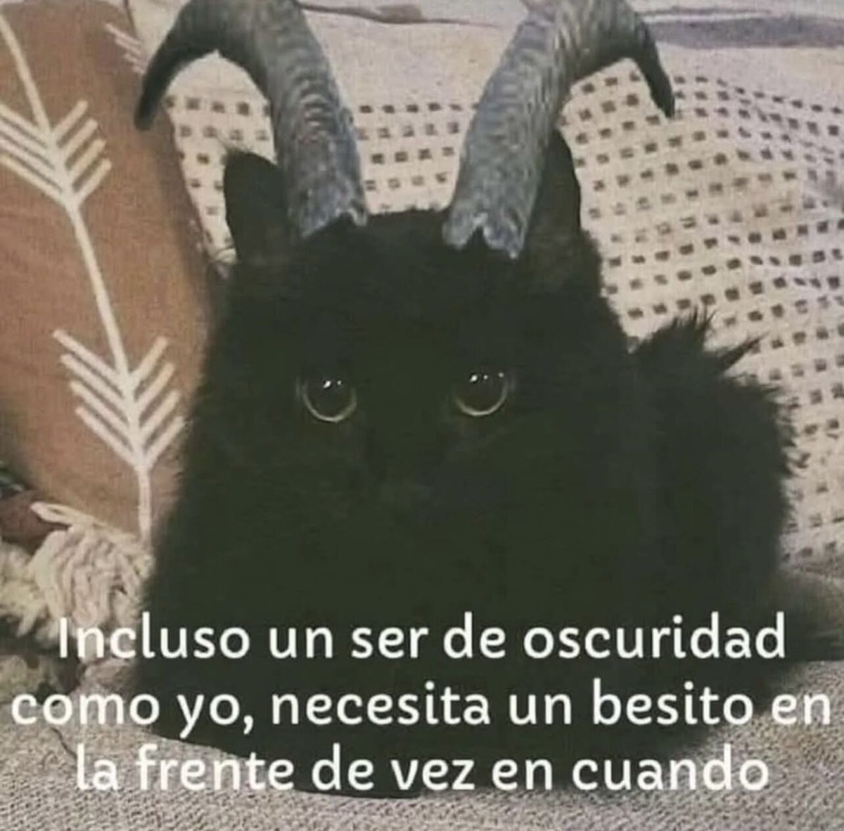 cornulda's tweet photo. incluso https://t.co/QoixrNofC1