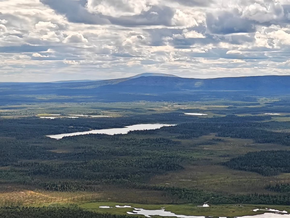 thememma's tweet photo. Huipulla 💙 #Levi #summertime #Lappi https://t.co/Lbvvku7aw0