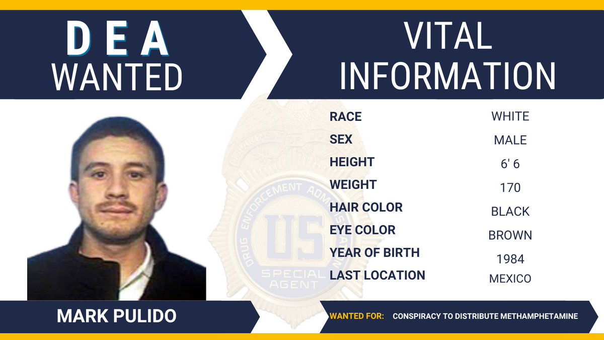 DEAHQ's tweet photo. #FugitiveFriday: @DEANewOrleans is looking for Mark Pulido, wanted for conspiracy to distribute methamphetamine. Learn more about this fugitive and find out about submitting a tip to the @USMarshalsHQ at https://t.co/vN3EUB2EB1
@TheJusticeDept https://t.co/VIrIi7mlRz