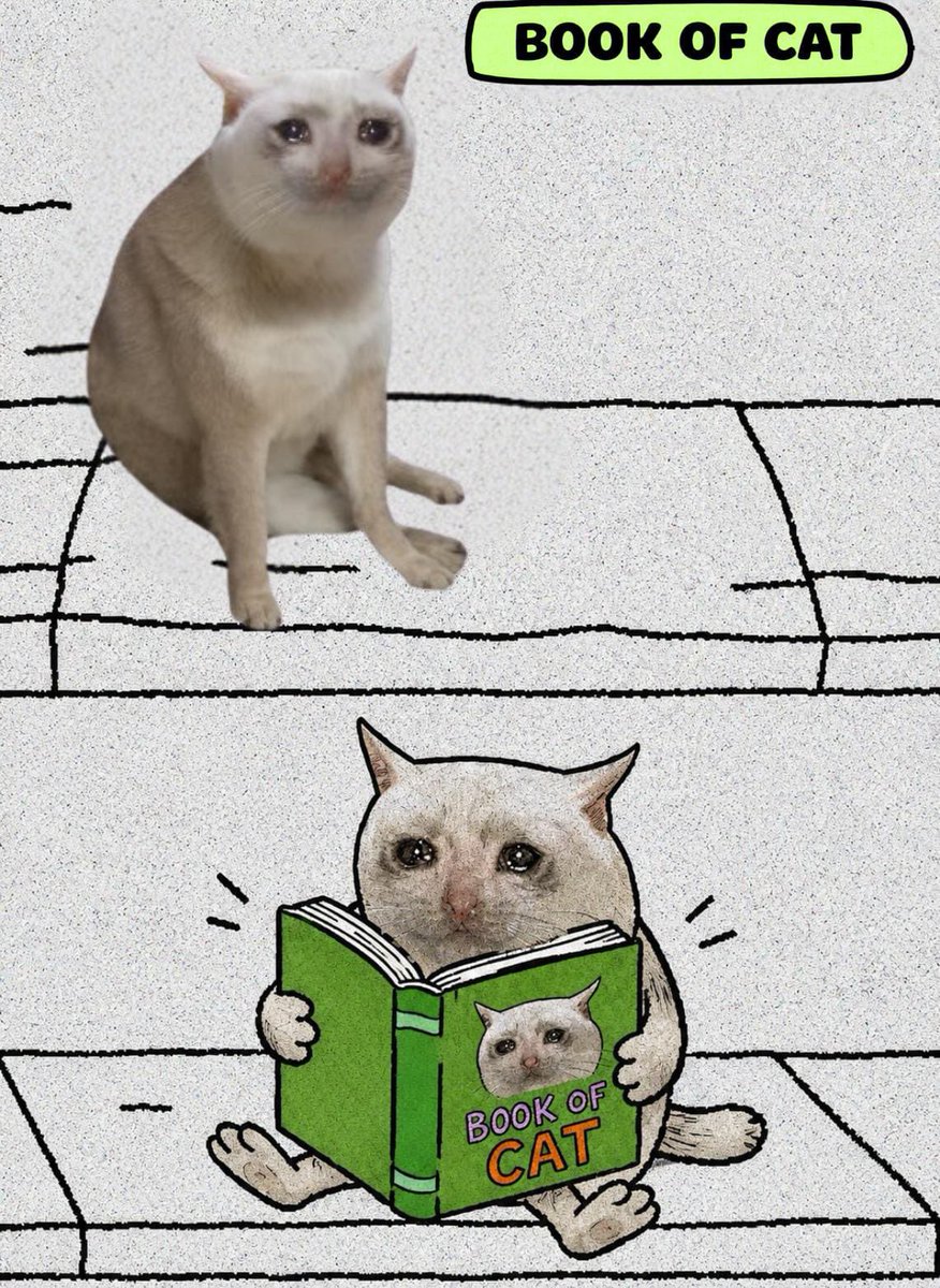 bookofcatRH's tweet photo. Some people read history books, I read the Book of Cat https://t.co/SEAGZzNz4I