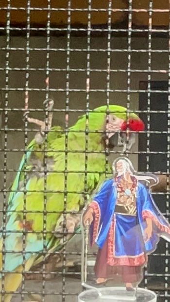 the_plunderers's tweet photo. ペンギンに馴染みすぎてて可愛い(*  ˊ꒳ˋ*)実質コウテイペンギンだね!!(?) https://t.co/r2tuzkWmZ8