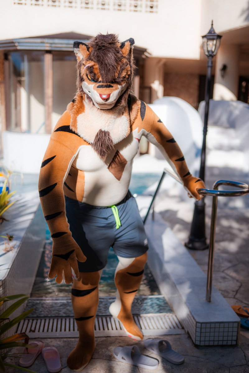 vincentorczk's tweet photo. Wanna swim with me?

📸 @racoonwolf 

#FursuitFriday #犬工房 https://t.co/Um7bdH8IMW