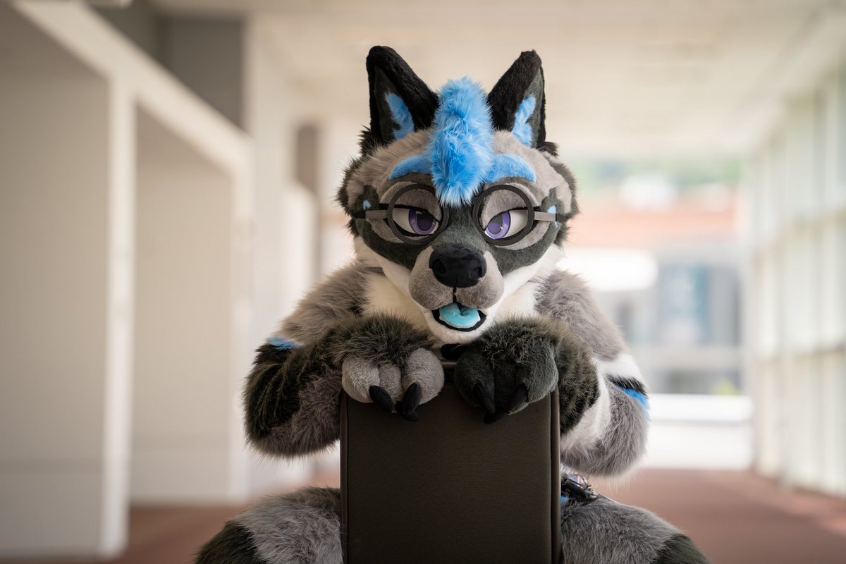 🌵 Det. Krypto the Wolf 🐺 tweet media