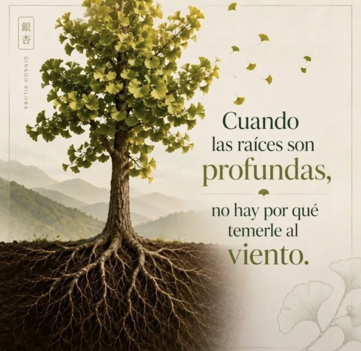 CajaDeTextos's tweet photo. https://t.co/0oIeJaYDmN