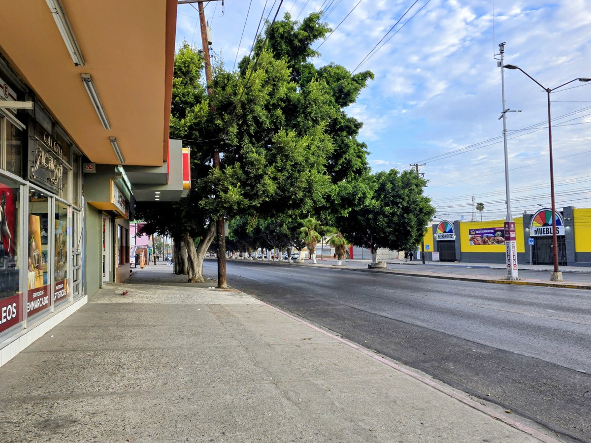 coffeeshampoo's tweet photo. Lo que me gusta de correr por la mañana es que la ciudad está desértica y que la gasolina ya no está en 23 pesos. 
Buen viernes ☀️🌻 https://t.co/QMV9vKPUmG