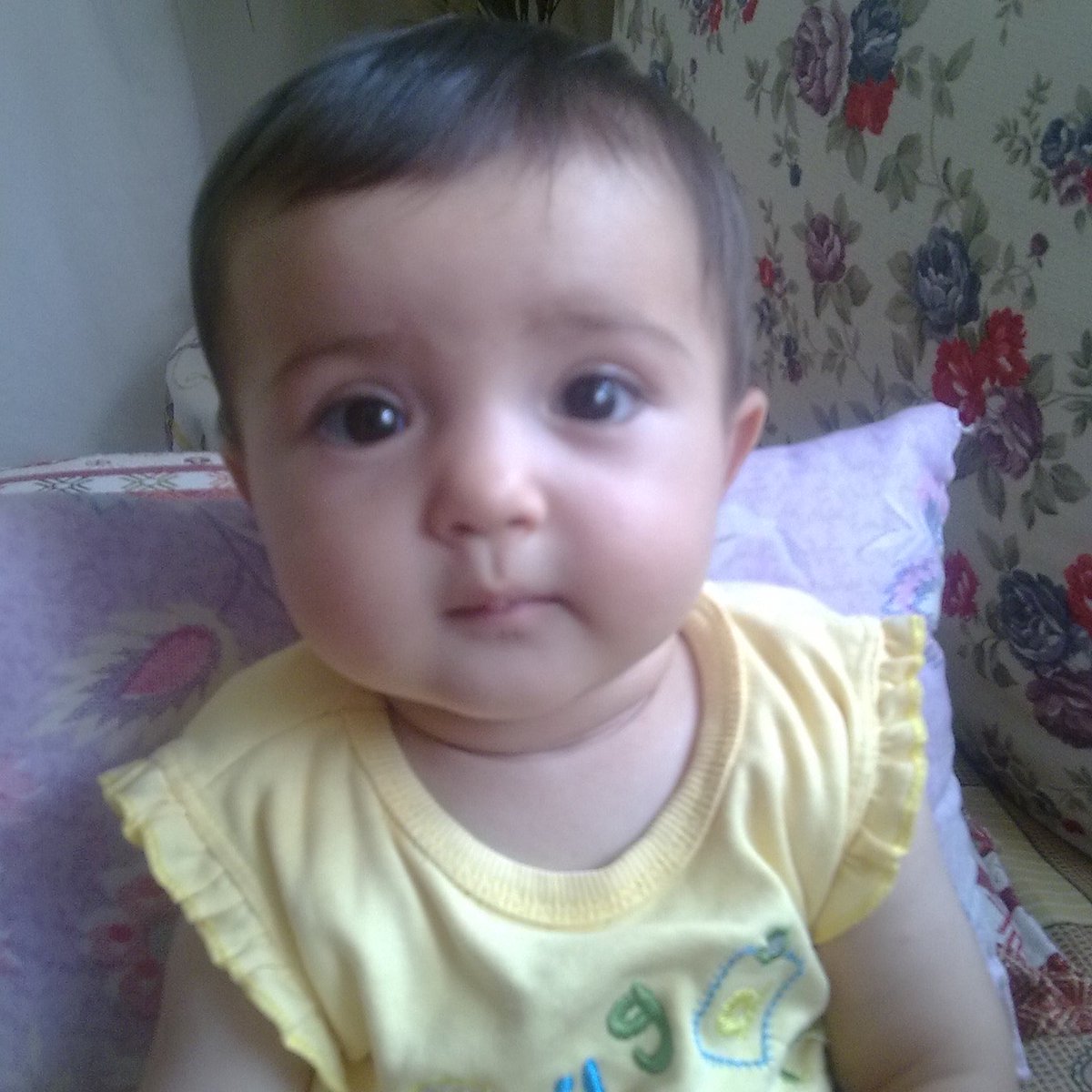ayse tweet media