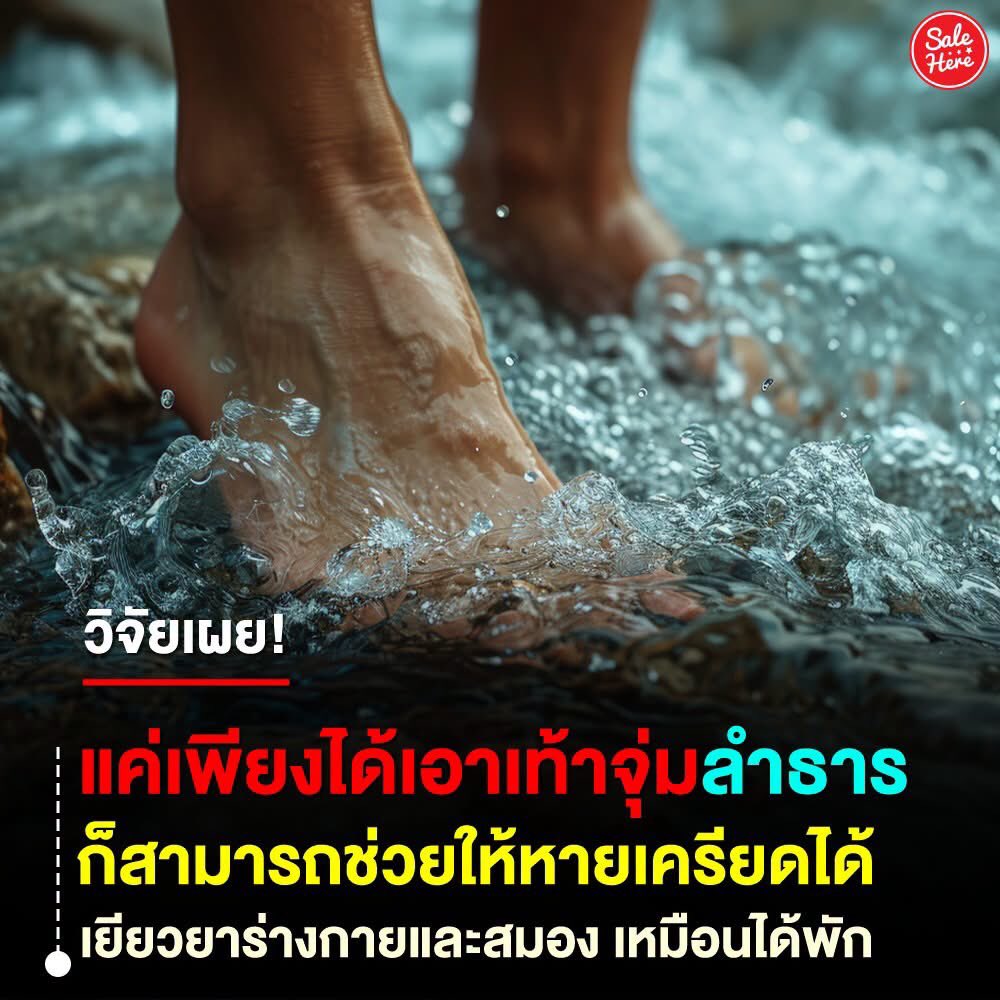 salehere1's tweet photo. 📣 เหนื่อยๆ ทั้งทีเอาเท้าไปจุ่มลำธารกัน! 🌿💦  งานวิจัยเผยว่า เสียงน้ำไหล การเคลื่อนไหวของสายน้ำ และการได้สัมผัสธรรมชาติโดยตรง ช่วยดึงความสนใจออกจากความเครียด ทำให้สมองได้พักจากการแจ้งเตือนและความวุ่นวายรอบตัว พร้อมช่วยฟื้นฟูทั้งร่างกายและจิตใจได้ดีกว่าที่หลายคนคิด 🌊✨💬 สายธรรมชาติยกมือ! เวลาเครียดๆ ชอบไปทะเล น้ำตก หรือริมลำธารมากกว่ากัน? 👇🏻🤍

#SaleHere #เซลเฮียร์ #คลายเครียด #พักกายพักใจ