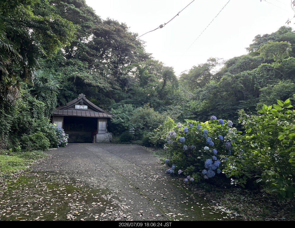 coelacanth40's tweet photo. 歩いてたら洞窟みたいなとこあってテンションあがったやつ https://t.co/8uw6HKGGZP
