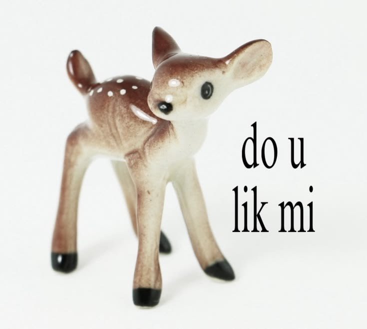 bbearbug's tweet photo. more love for bambi lesbians pls pls pls https://t.co/Jpfcw6sm6s