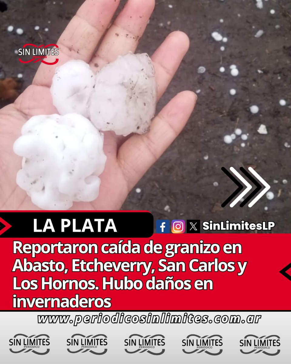 Sin Límites Periódico tweet media