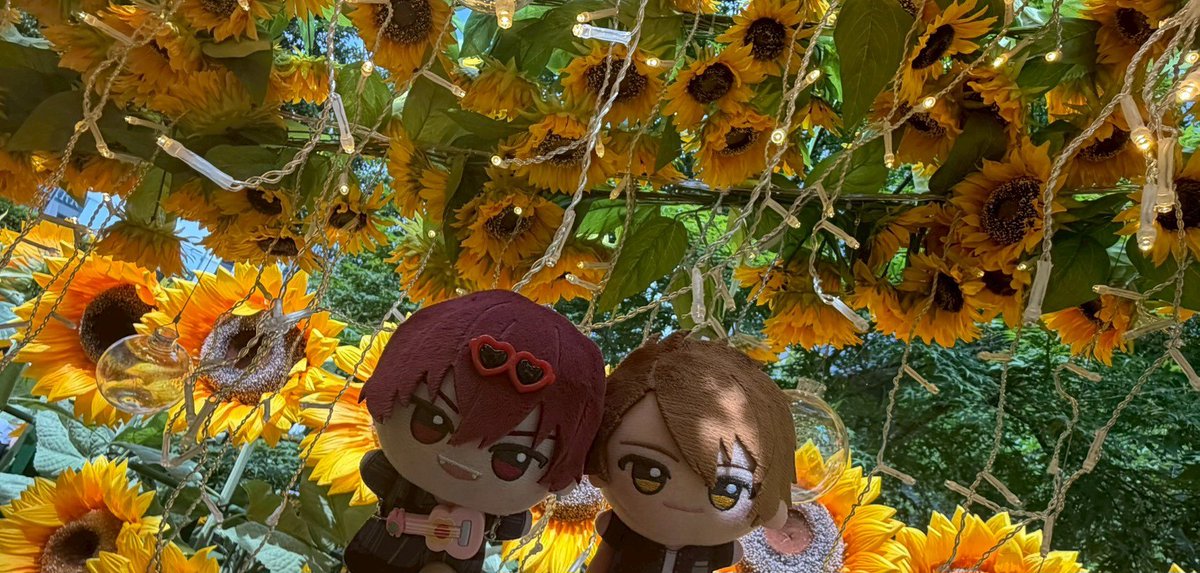 cy_p_10's tweet photo. ほしちゃんとお出かけした~🎶
幸~~🥰🙌🙌🥰 https://t.co/BcfIAcyKBj