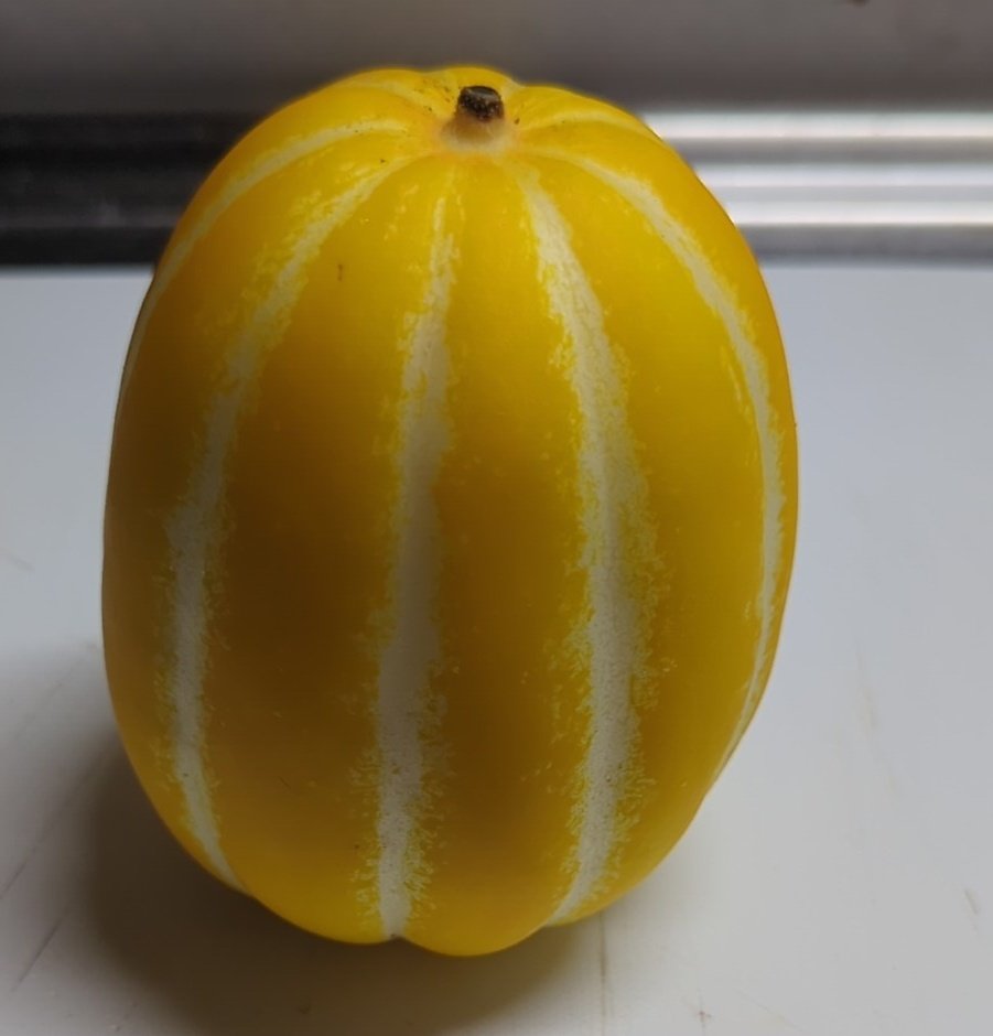 星州チャメという果物らしい、初めてみた！