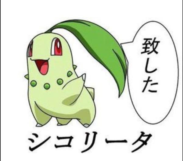 LFT_ゆずー tweet media