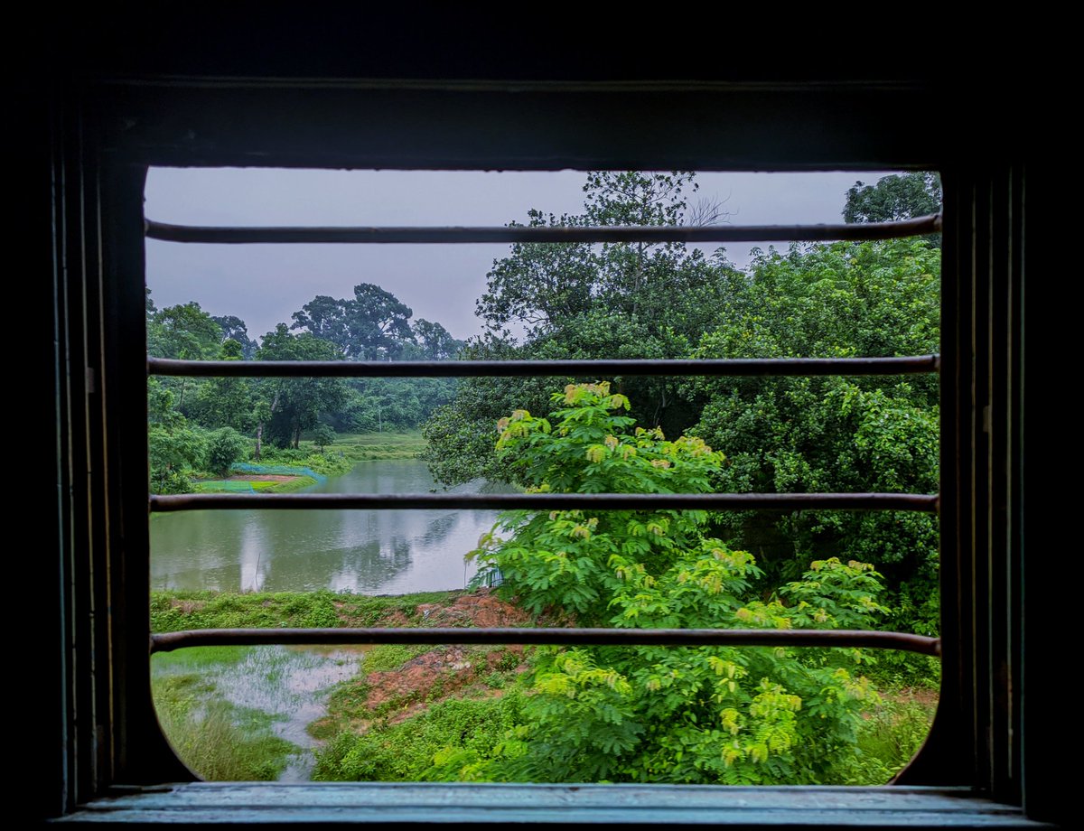 hellotapash_dn's tweet photo. Chasing monsoons and endless greens through a rustic window frame. 🛤️ 💚

#MonsoonVibes #Greenary #IndianRailways #WindowSeat https://t.co/OWyMZ4MxRz