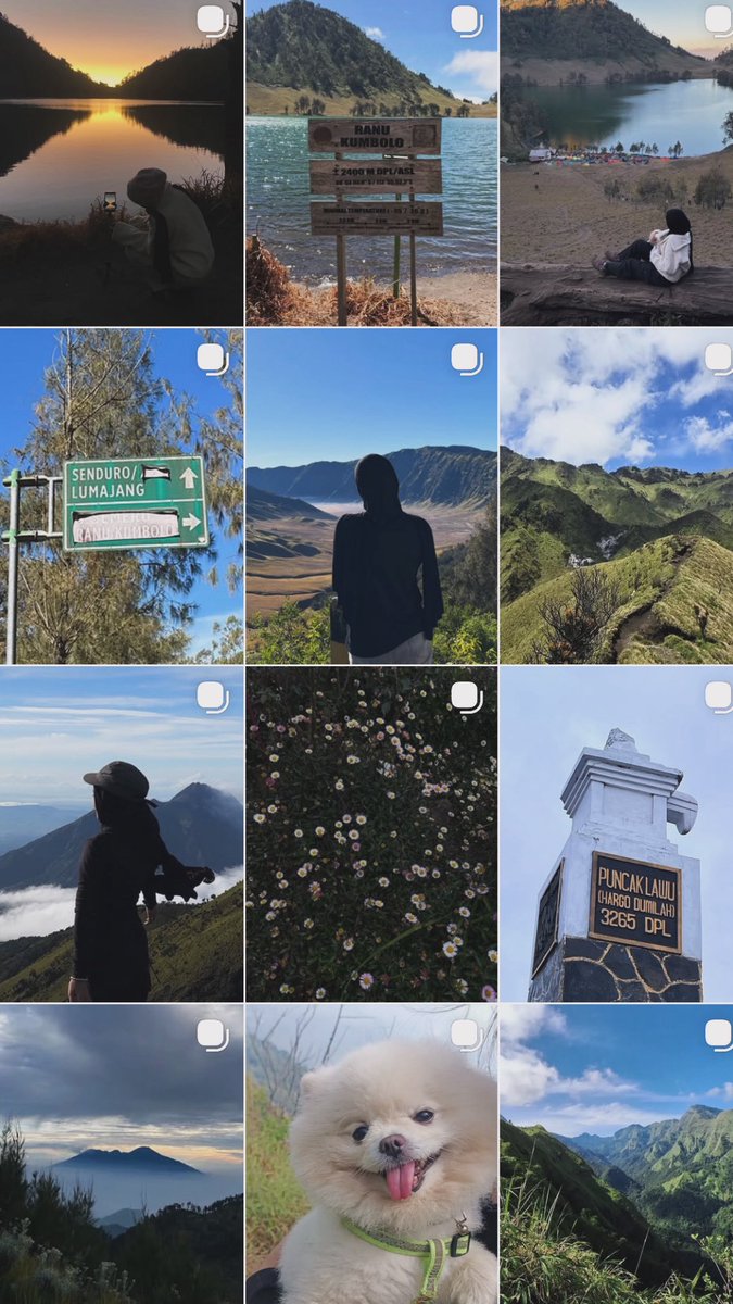 sya²⁷🎀💭 tweet media