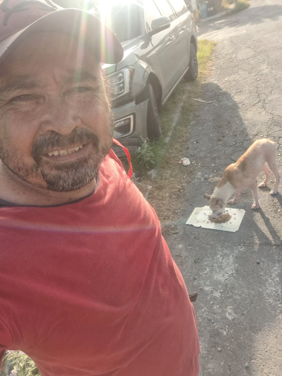 JorgeJaime_1's tweet photo. Ya visitando a mis amig@s el calor ya esta bien feo cuídense mucho para alimento productos de limpieza  bolsas para basura etc  ( alguien gusta  apoyarme muchas gracias en mi perfil mis datos ) todo apoyo es importante https://t.co/jnpEtQ83Zl