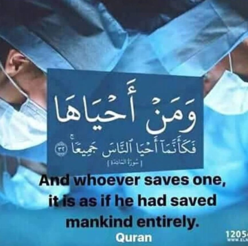 Navid Salarzai tweet media