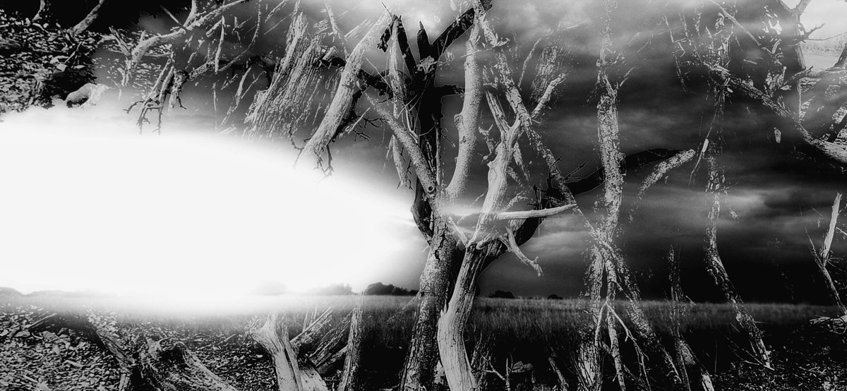 SergeHauppe's tweet photo. Double Exposure
#photographie  #photo #fotografie #fotogafia #blackandwhite #blackandwhitephoto
#monochrom #doubleexposure https://t.co/iu6a16jDvB
