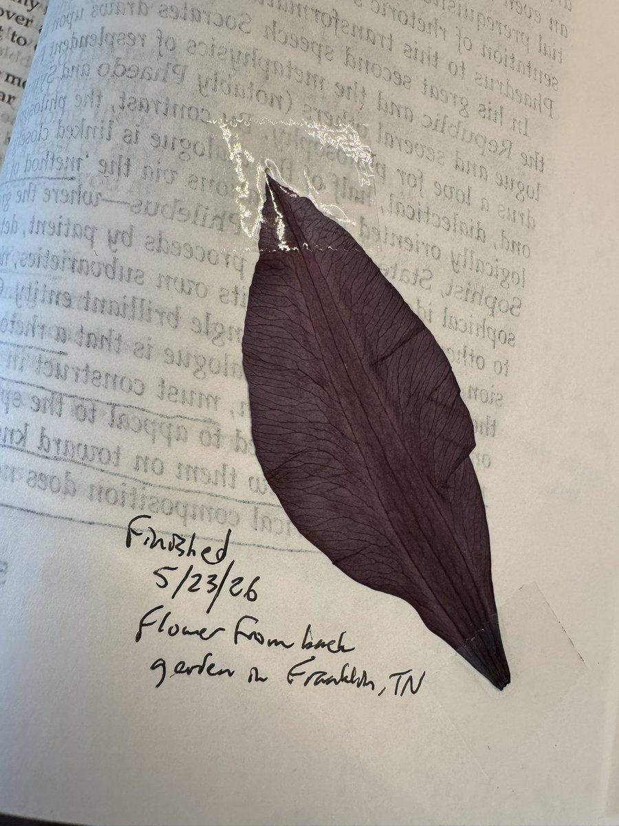 Erik Rostad (Books of Titans) tweet media