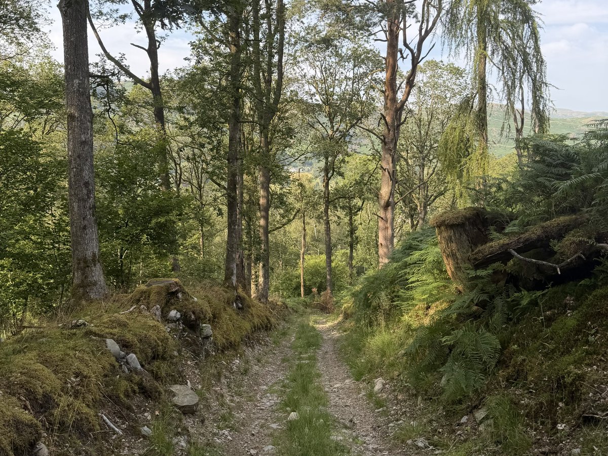 hikingshawty's tweet photo. how wonderful it is to be alive https://t.co/UKZjcwQoXw