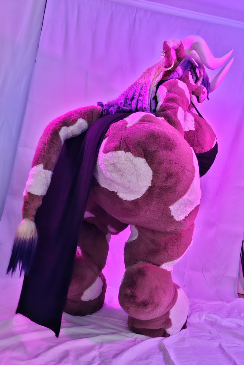 Milka_thecow's tweet photo. I see a camera, I pose for the camera and I know you love it!📸
#furry #fursuit #fursuitfriday #boivne #cow #thicc #bimbo https://t.co/J9XjPYIK4B