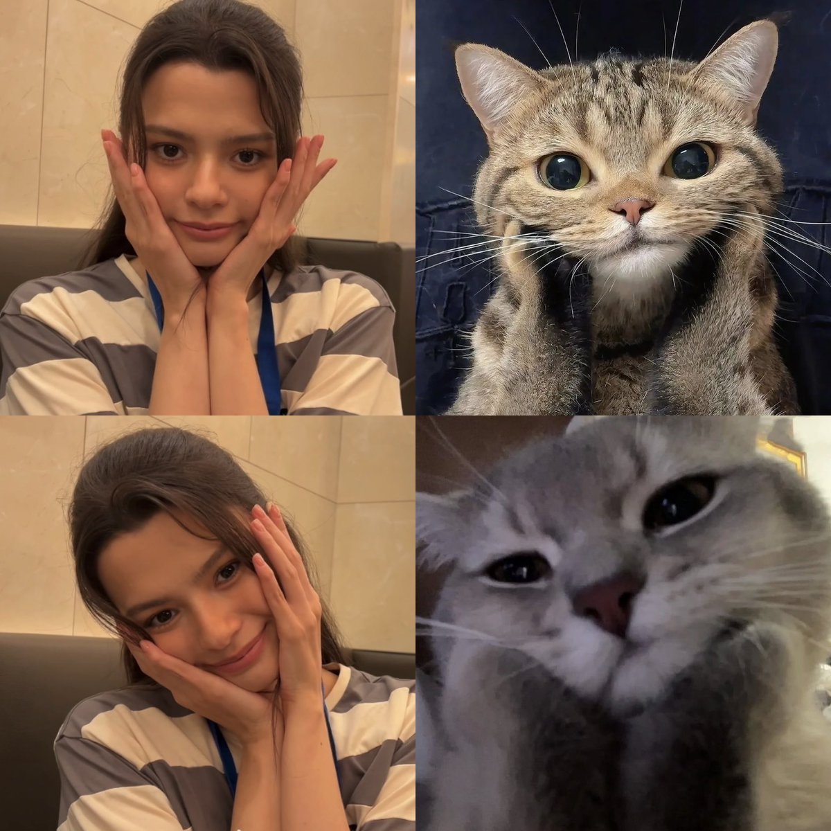svnfleurr's tweet photo. my lil meowww🐱🤏🏻 https://t.co/q7x5y6e2Pm