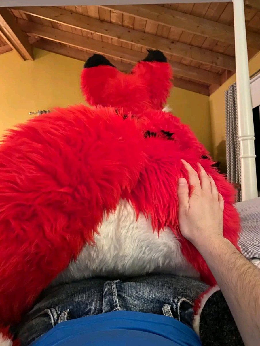 VildlysFox's tweet photo. @Shadowfox439 https://t.co/MZueDkAidL