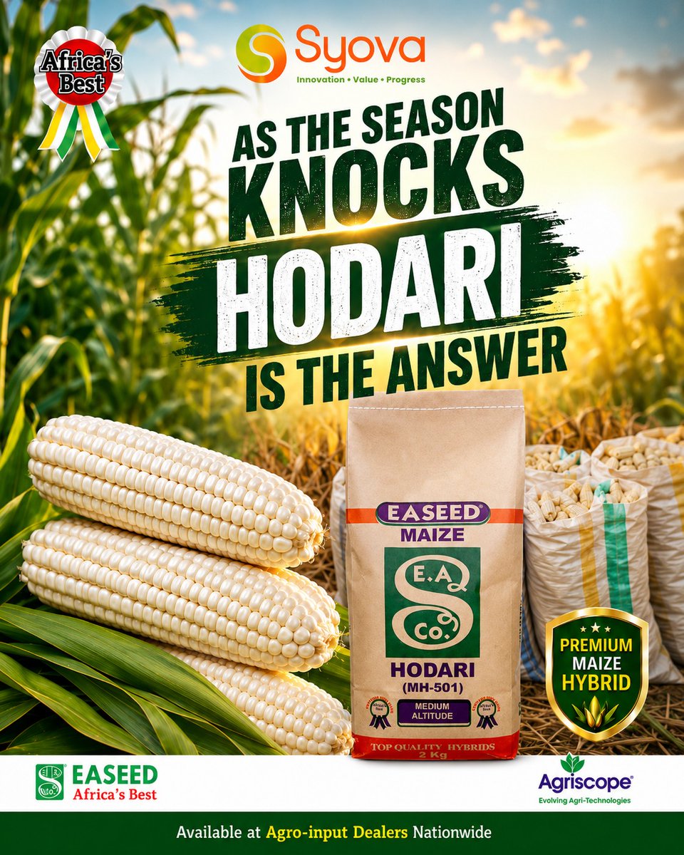 a_syova's tweet photo. 🌽 As the season knocks, HODARI is the answer! Choose HODARI MH 501 for strong stalks, stable yields, double cobbing and excellent grain quality. Don’t wait for the rains—secure your genuine pack today at an agro-input dealer near you. #HODARIMH501 #PlantForProfit https://t.co/CwsSnQqqGj