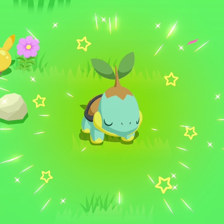 jg_sleep's tweet photo. #ポケスリ3周年をみんなで 
ナエトルぴかーん！！🌱✨ https://t.co/1w4VBdMKu6